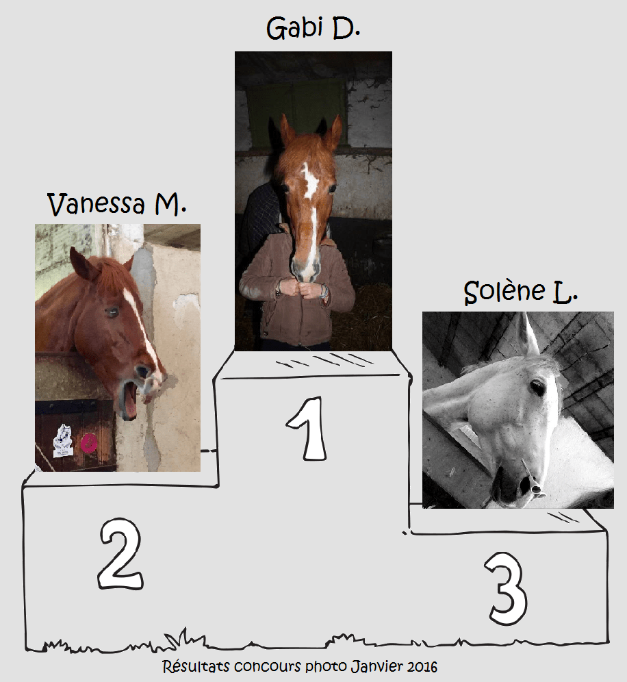 Résultats concours photo janvier 2016