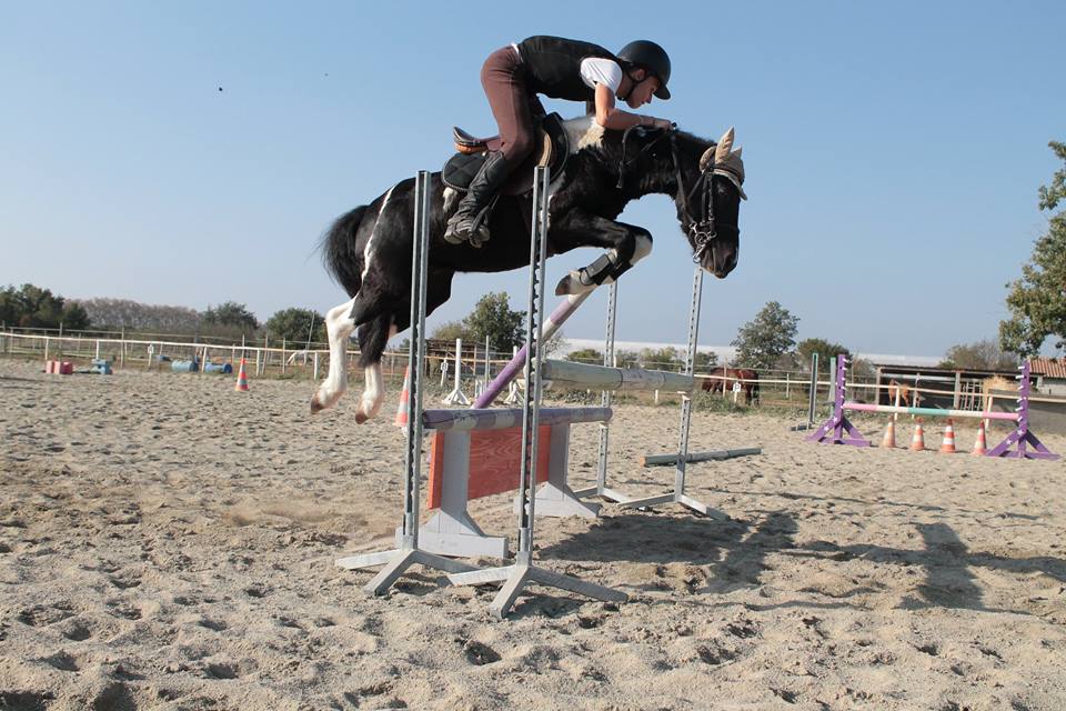 12921004_215759305451972_147278733_n