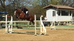 Gabi et Si Bleue en concours